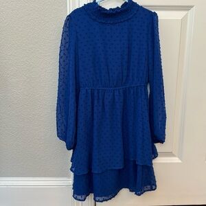 EUC Girls size 10 blue dress poppies and roses brand from Dillards